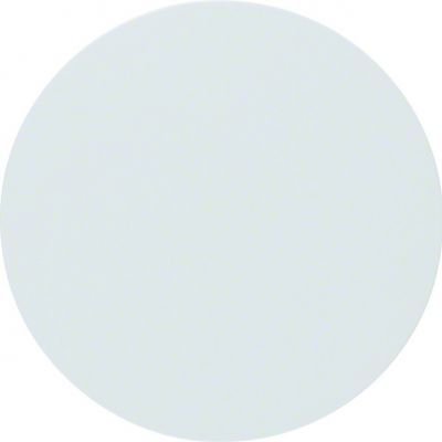Berker Wippe pows/gl 16202089 (16202089)