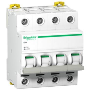 Lasttrennschalter      40 A  240 V  Schneider Electric A9S65440 (A9S65440)