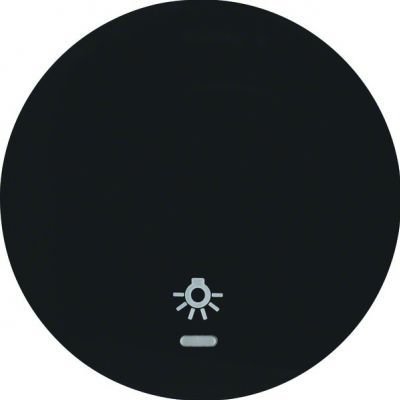 Berker Wippe sw/gl Linse/Symbol Licht 16212035 (16212035)