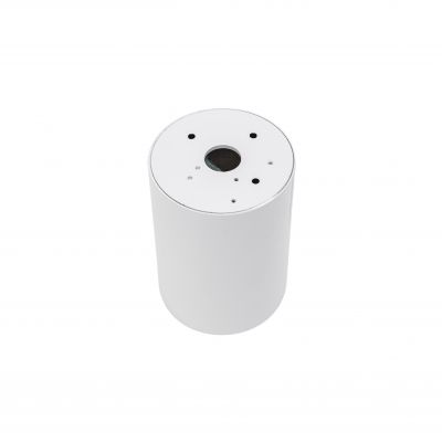 Oprawa natynkowa CHLOE MINI GU10 250V IP20 70x100mm biały środek złoty okrągła  SLIP005015 Spectrum Led (SLIP005015)