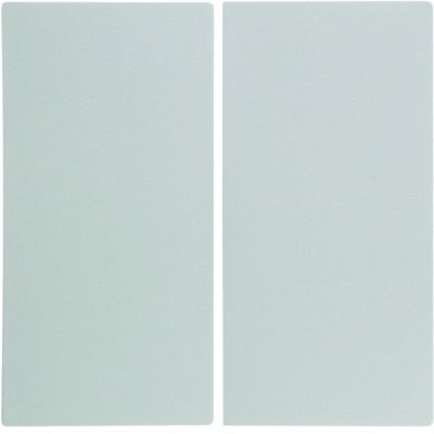 Berker Wippe pws/matt 16231909 (16231909)