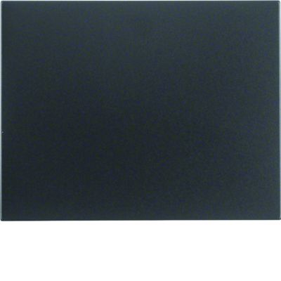 Berker Wippe K.1 anthrazit matt 14057006 (14057006)
