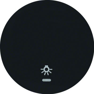 Berker Wippe sw/gl Linse/Symbol Licht 16212035 (16212035)