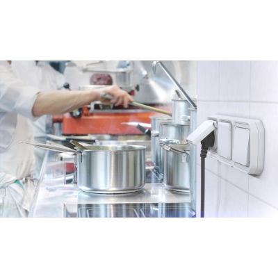 PLEXO Gniazdo hermetyczne IP55 podtynkowe biały 069621L LEGRAND (069621L)