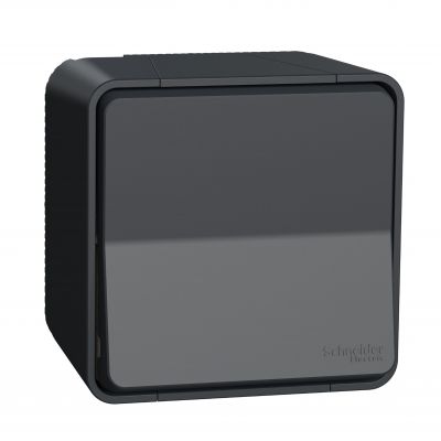 Mureva łącznik natynkowy IP55 uniwersalny antracytowy MUR35021 SCHNEIDER (MUR35021)
