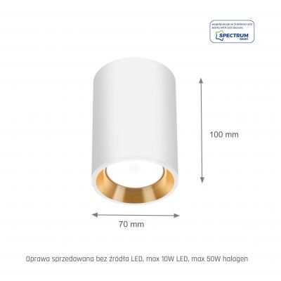 Oprawa natynkowa CHLOE MINI GU10 250V IP20 70x100mm biały środek złoty okrągła  SLIP005015 Spectrum Led (SLIP005015)